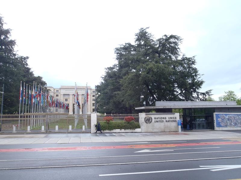 Slika