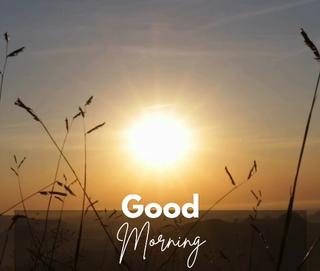 vartotojo �kelta nuotrauka