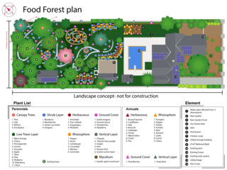 Azita-Berlouis-02-Concord-01-Food-Forest-Plan-01.png