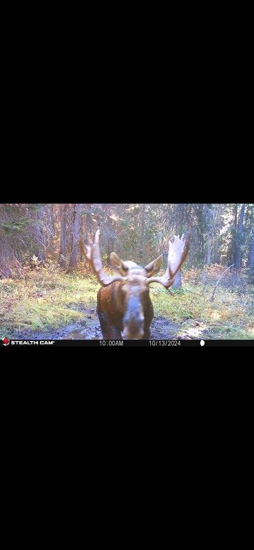 Screenshot_20250619_222709_Gallery