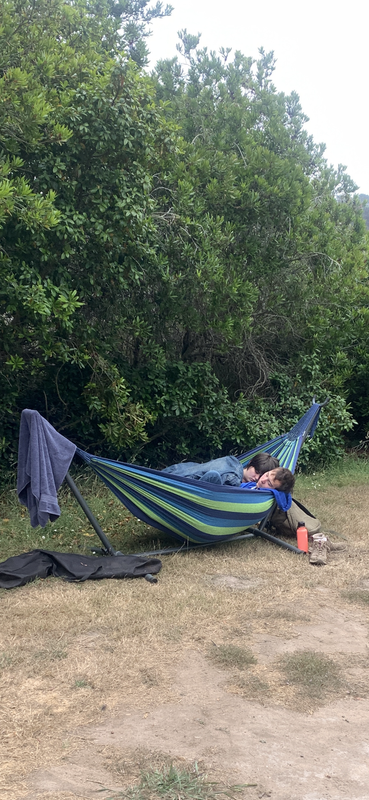 D814140C-C459-4179-B767-E5577C600844