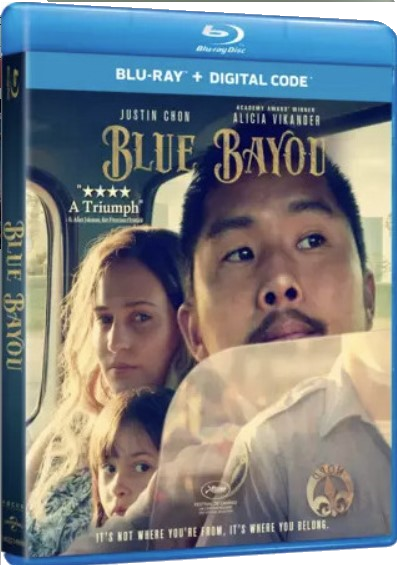 Blue Bayou (2021) HD 720p x264 AC3 ITA ENG