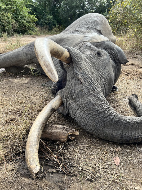 42F76C58-409A-4170-9607-9F135D0F71D9