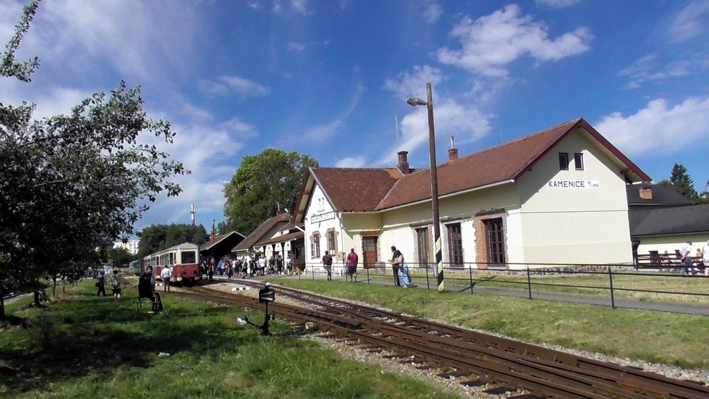 [Bild: S1240226.jpg]