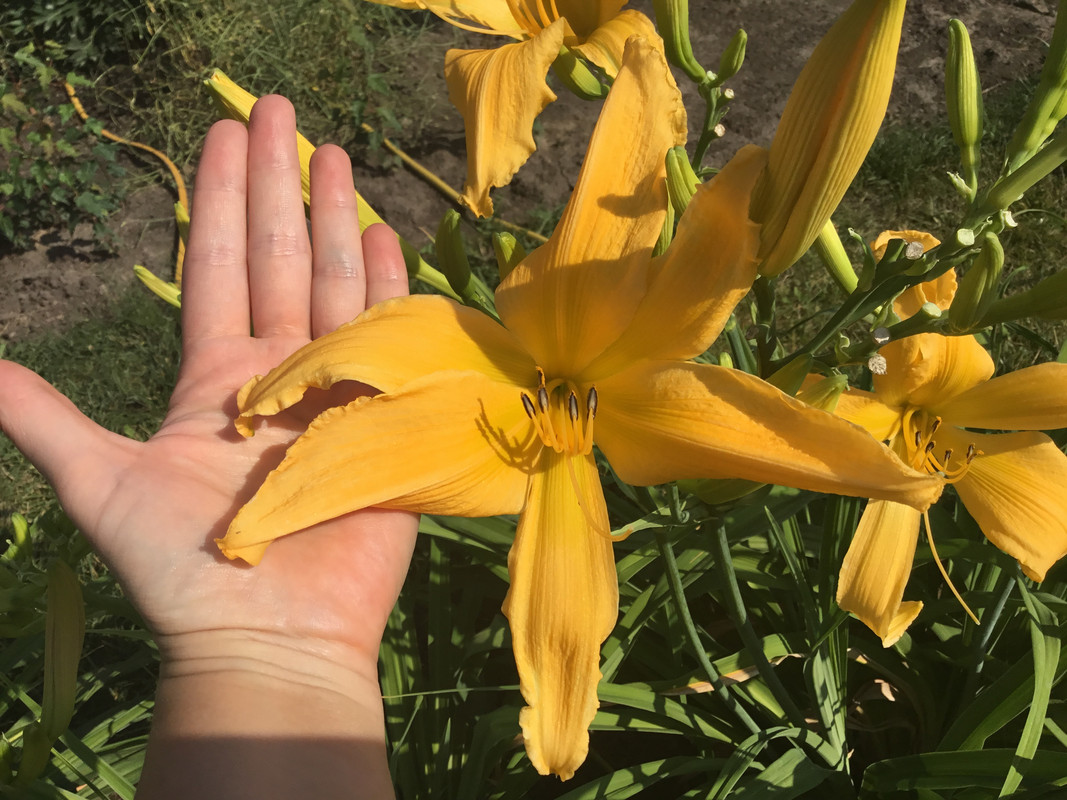 8D4E92C5-CCAE-4ADF-AAC4-C56CB8157E5B