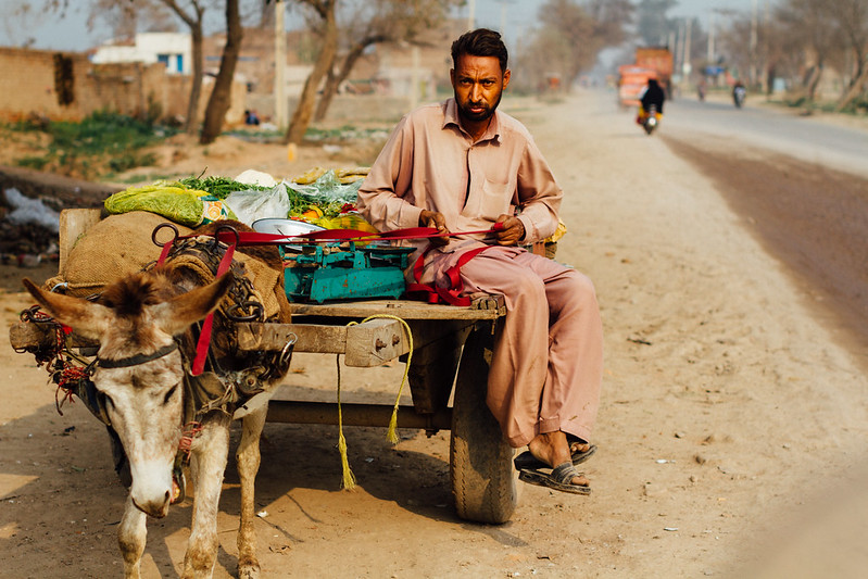 people-man-on-donkey-pakistan.jpg