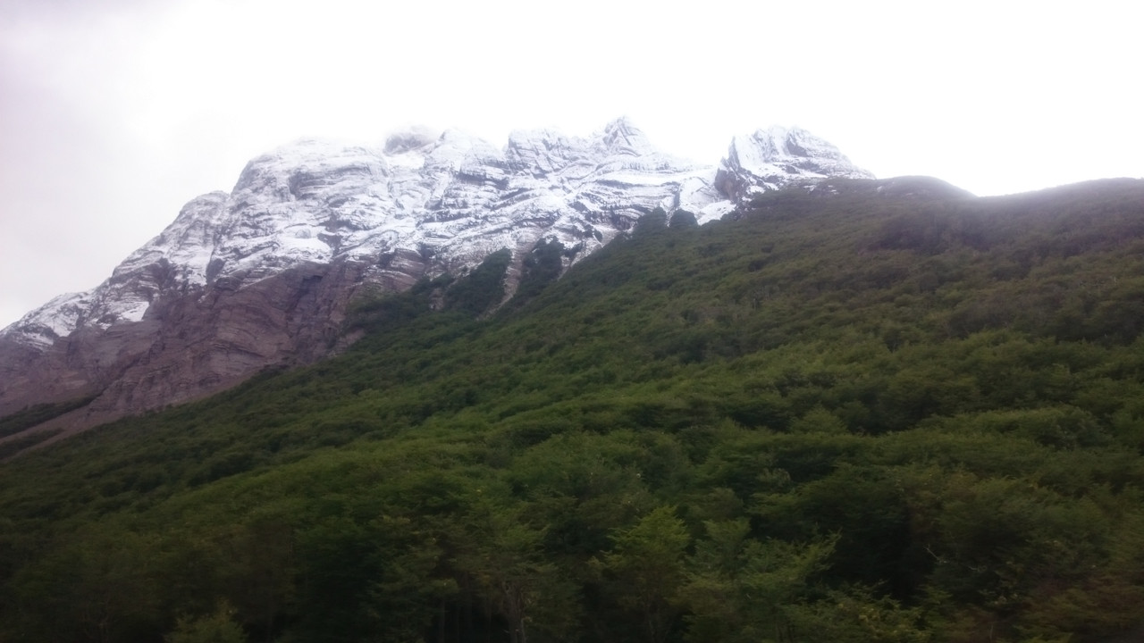 Аргентина (6)