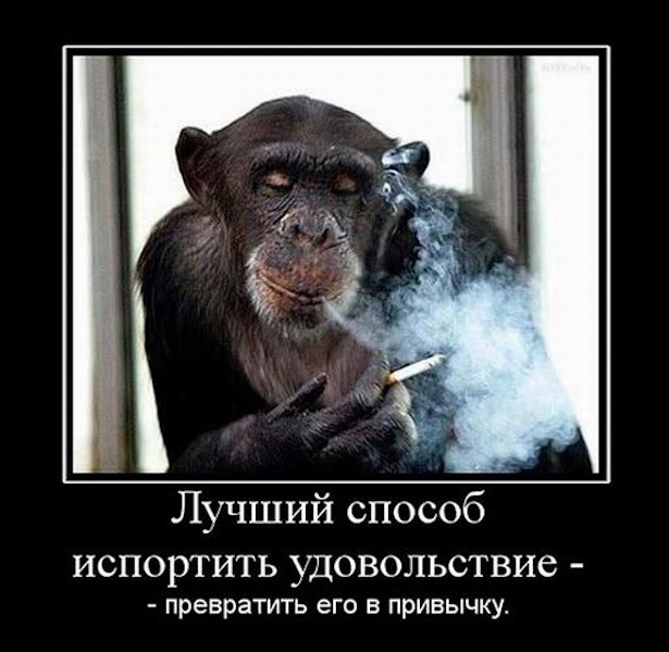 2334664-900.jpg
