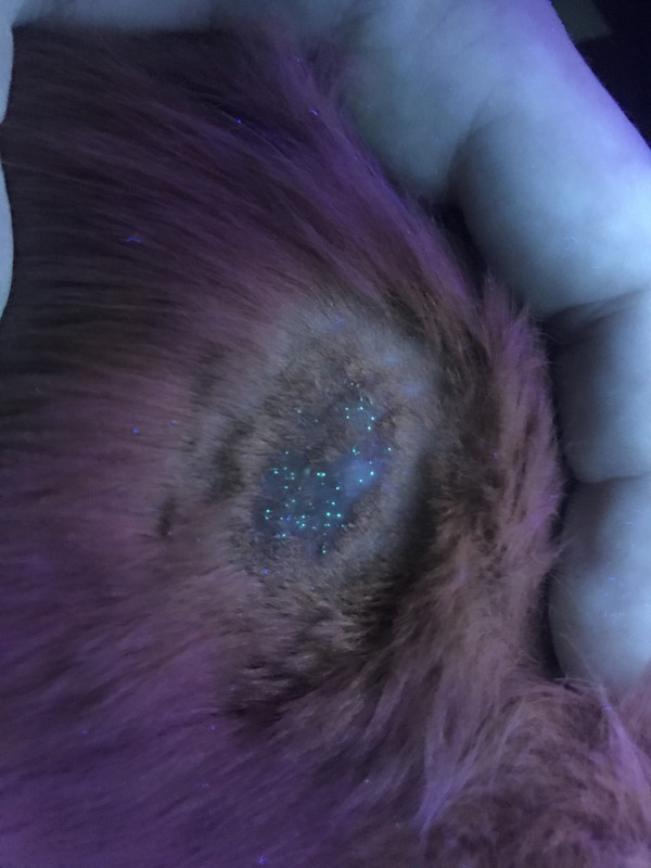 B4585EDA-A299-4AAD-AAA5-E6A363C8AEDA