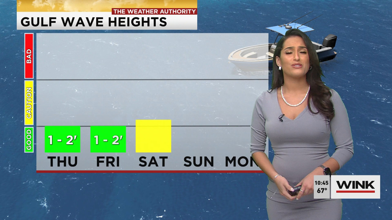 01.21 - 15.00.00 - WINK News at 10 00AM..ts_snapshot_00.51.12.630