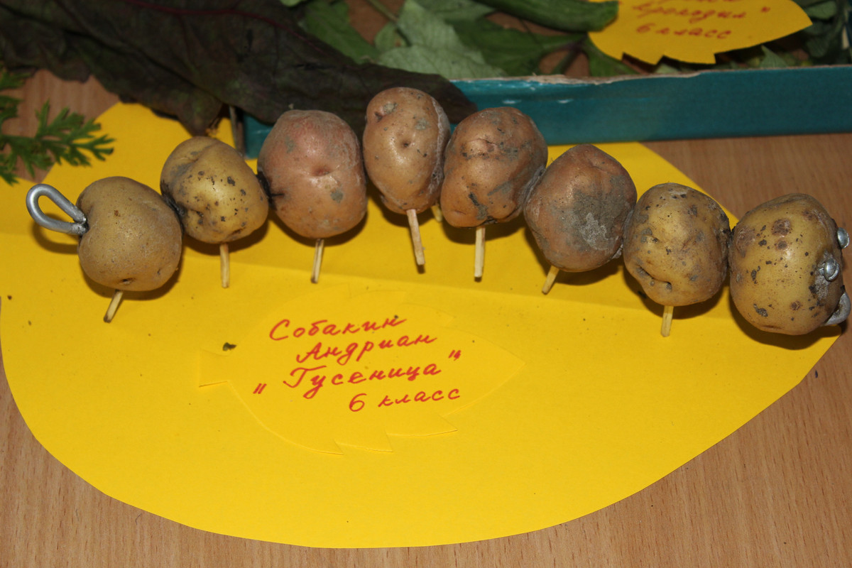 2014 год. Золотая осень