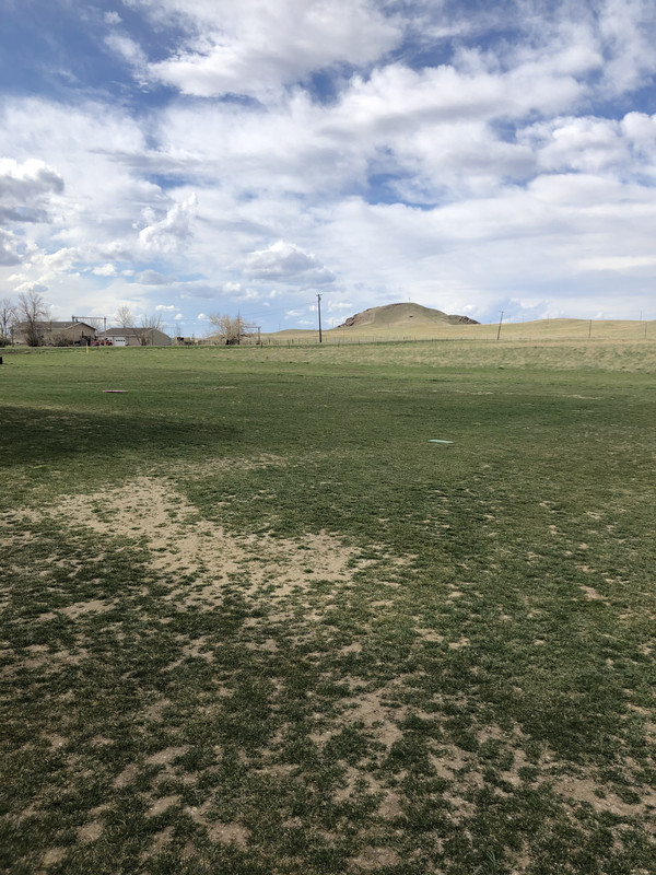 92A4F2D0-E395-4647-BADD-155ECB504B71