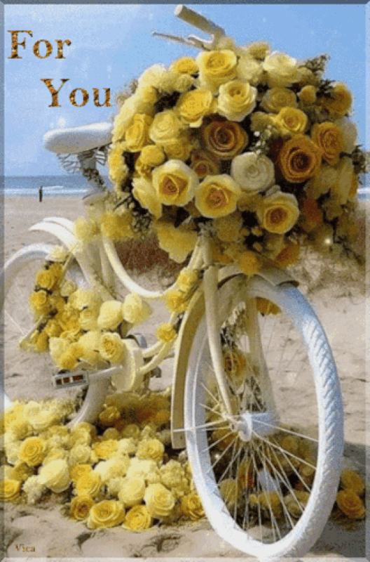 An den Beitrag angehängtes Bild: https://i.postimg.cc/bwKqm2zd/oie-2075728-Xyq-WX2-MK.gif