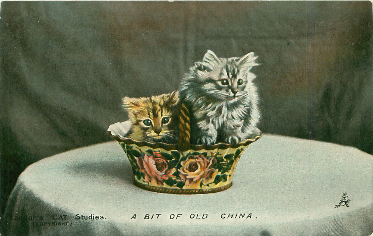 19-2011-06-15-18-04-00