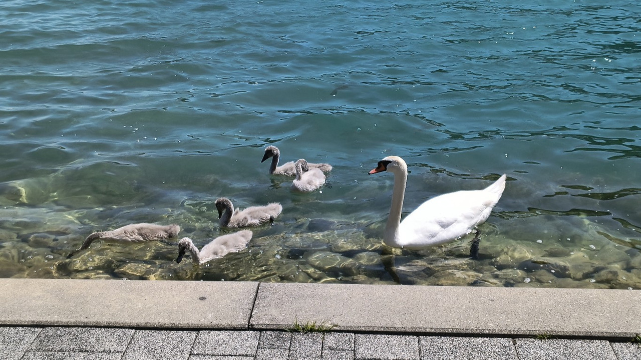 IMG 20260602 120742733 HDR (2)