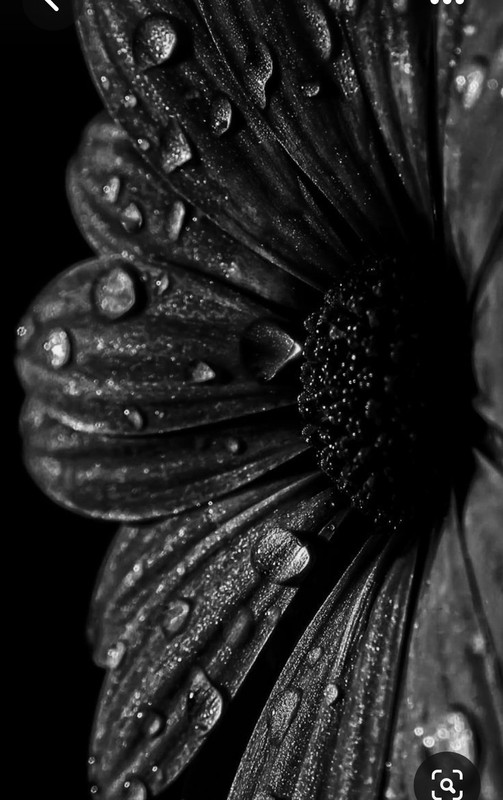 Screenshot_20230329_231436_Pinterest