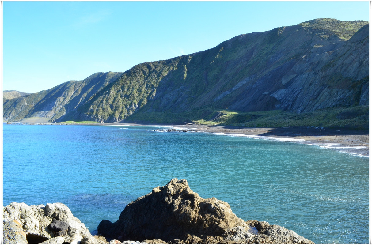 Wellington más allá del Te Papa y el Cable Car - Escapadas y rutas por la Nueva Zelanda menos conocida (15)