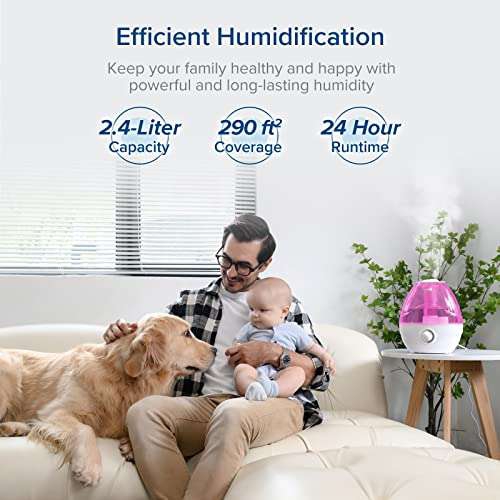 Amazon: Humidificador para habitación 50% con prime 
