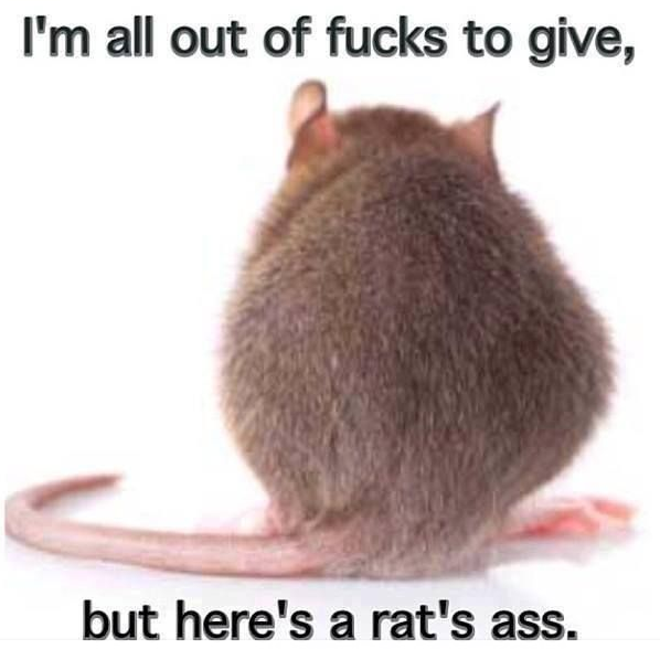 ratsass.png