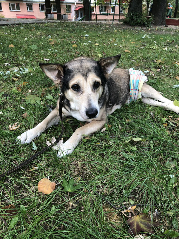 8E9703EF-88DA-4E37-840D-5417CA797B84