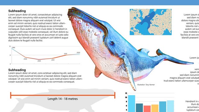 Creating Illustrator Infographics (2022)