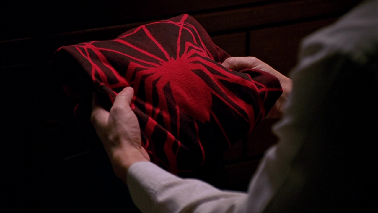 vlcsnap 2026 02 20 18h11m09s198