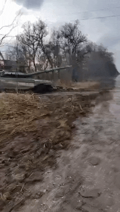 https://i.postimg.cc/bwM42dFk/video-2026-05-17-05-53-57-(1).gif