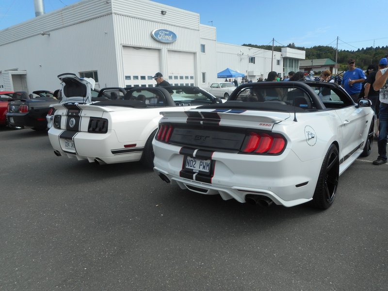 Rendez-Vous Mustang Cliche Auto Ford - 14 août 2022 Cliche2022-35