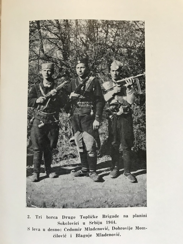[Слика: LAZNI-IDOLI-I-VARLJIVI-IDEALI-Milos-Mlad...572317.jpg]
