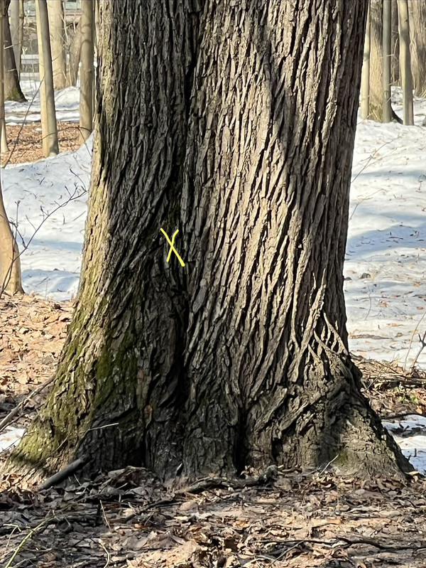 D9F18E95 FE3C 449A B1F8 8306986455EE