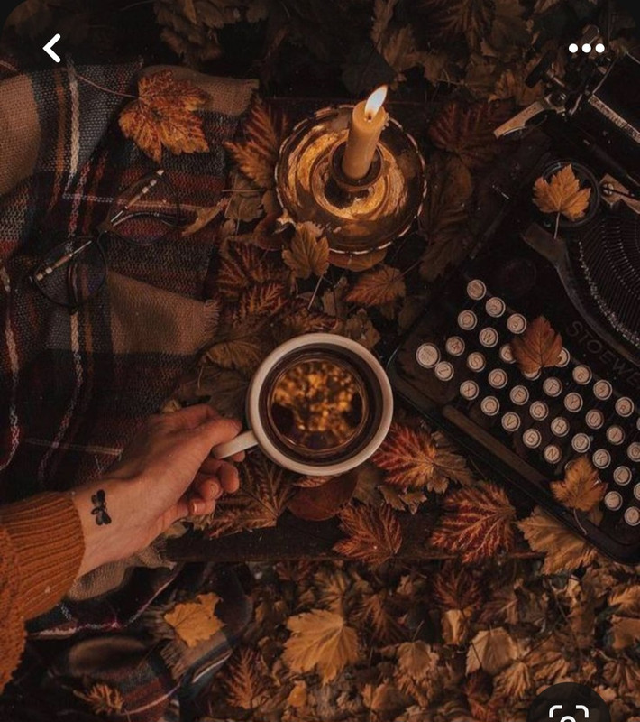 Screenshot_20231117_213542_Pinterest