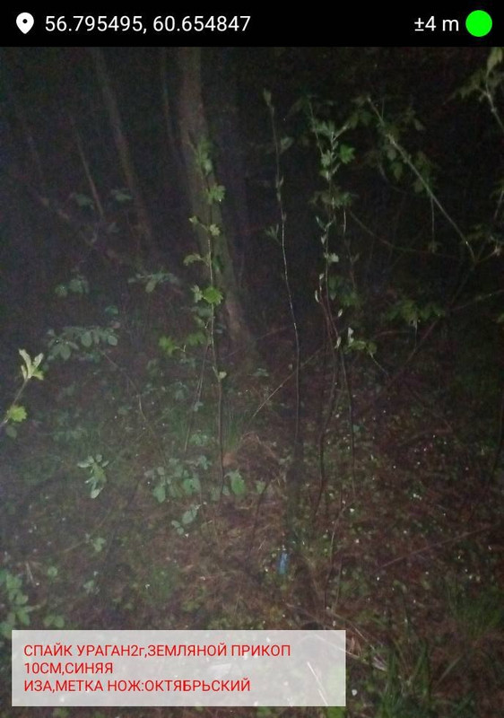 photo 4 2026 05 14 12 42 50
