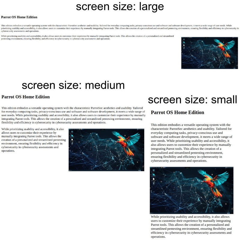 img-layout-responsive-html