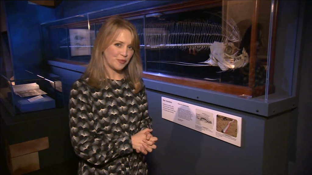 BBC London_20201210_13301345.ts_snapshot_12.36.456