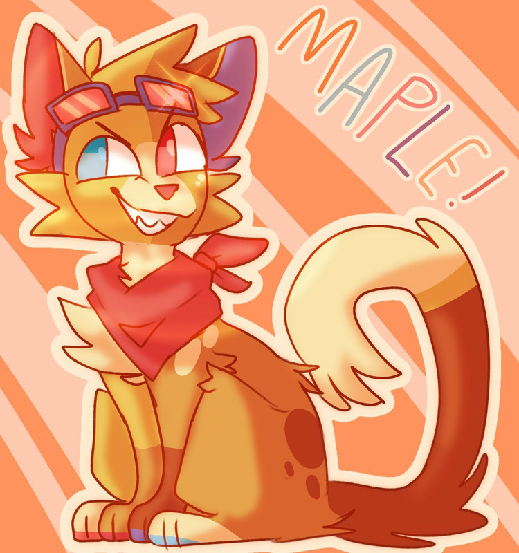 32742555_1X70roslCk2wMFp