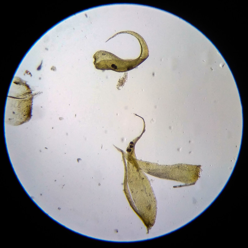 IMG 20250614 203613 HDR