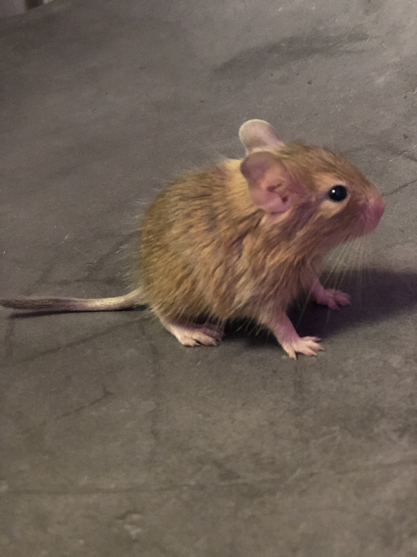 E755C246-96BE-4C55-8BFD-2C8483310C46