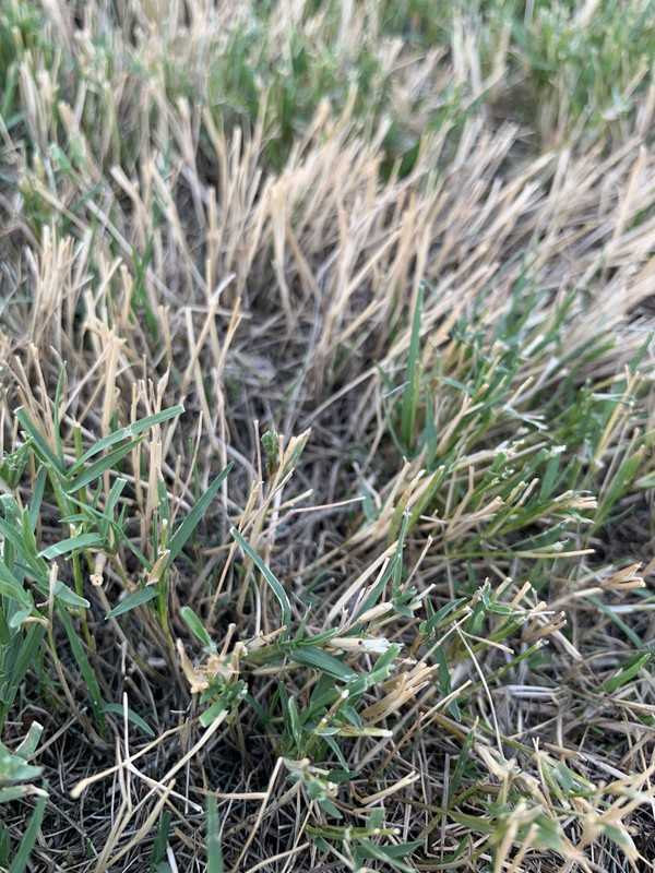 FC390F7A-D40C-4099-8385-00B38BF6C436