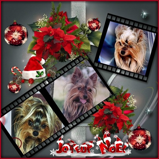 pixiz 21 12 2025 17 35 28