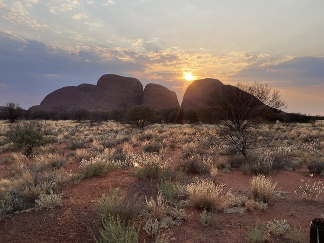 El abrazo a Pearl - Blogs de Australia - Kata Tjuta - Las Olgas (3)