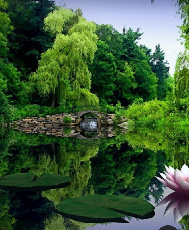 Screenshot_20231017_222228_Pinterest