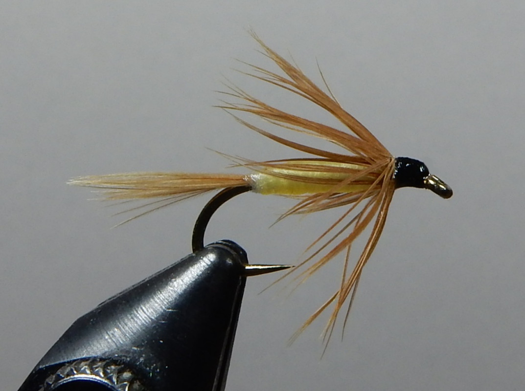 Brown-Sprite-1080.jpg