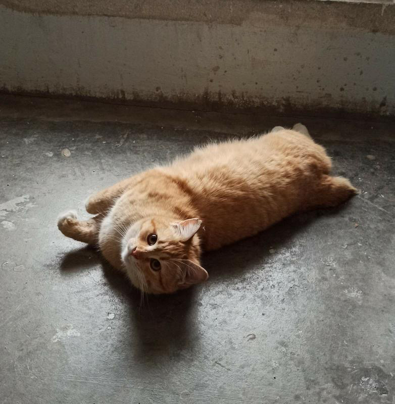 D9A58079-06B1-4E0A-84AD-F35D57319E6F