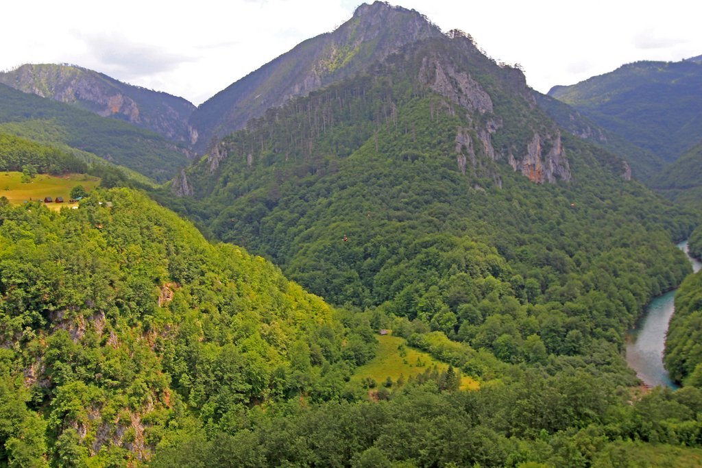 [Linked Image]