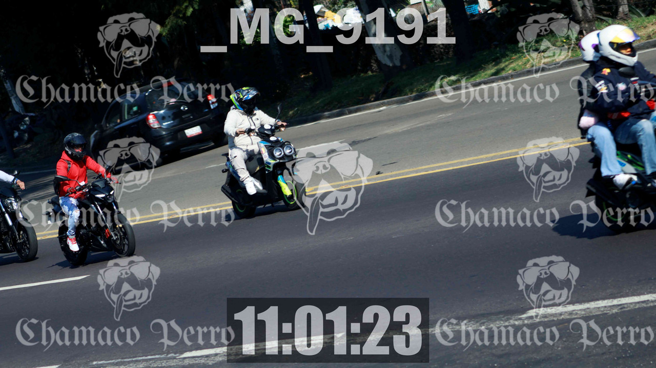 MUESTRA MG 9191 — Postimages
