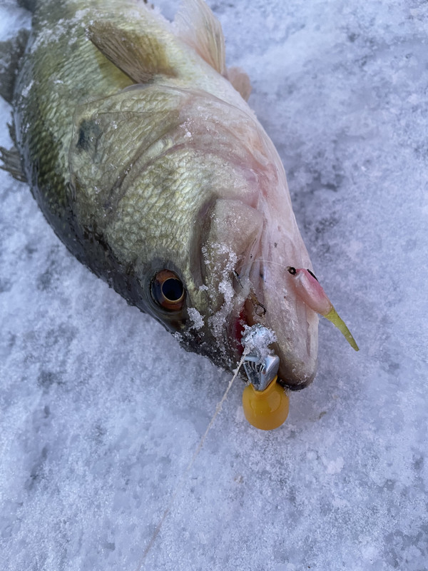 D5CD16CE-D575-40AE-B341-2D064D398C3B