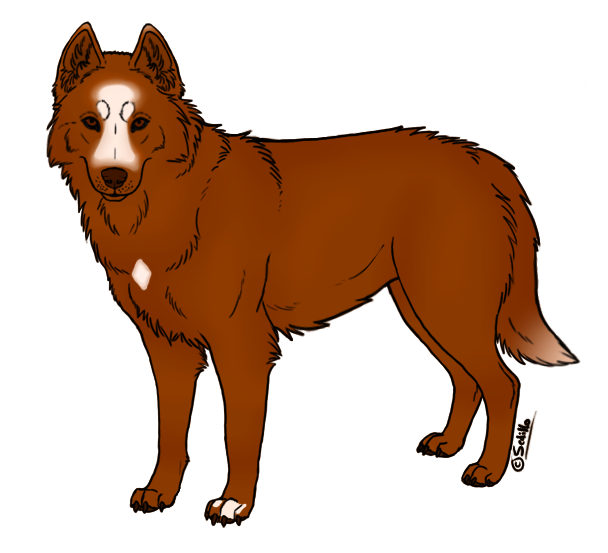 MushFund Red Mystery