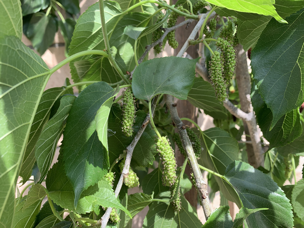 3EC86567-9D4F-41A5-B708-B3AD214E319E