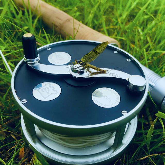 5DDF2C8D-0D95-429E-BF87-846B29A4AD41