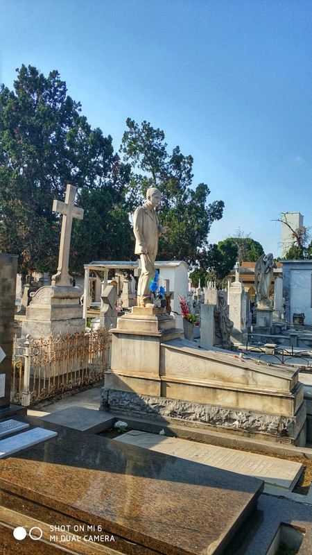 IMG_20190406_164251-01